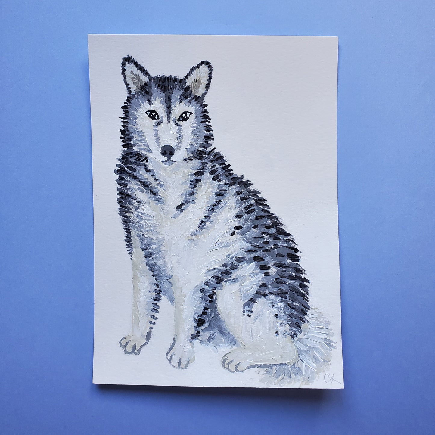 Siberian Husky Painting