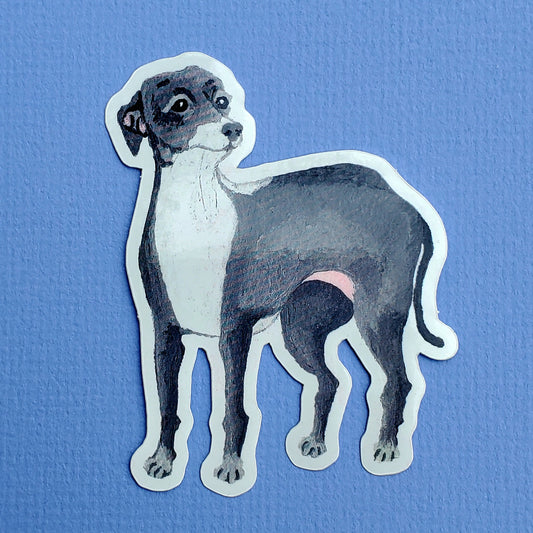 Italian Greyhound Sticker, Kermit Sticker