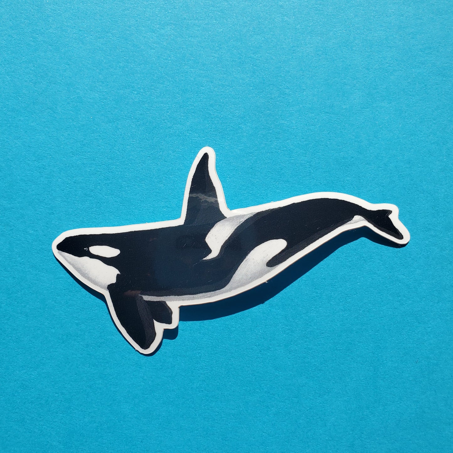 Kiska The Orca Sticker