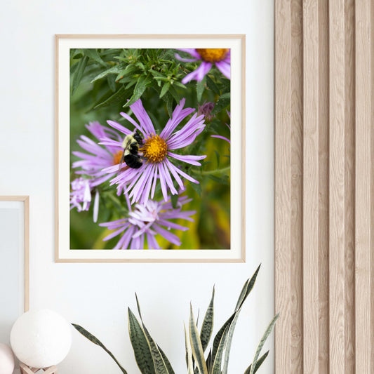 Pollination Photo Print