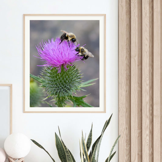 Two Friendly Bees PhotoPrint