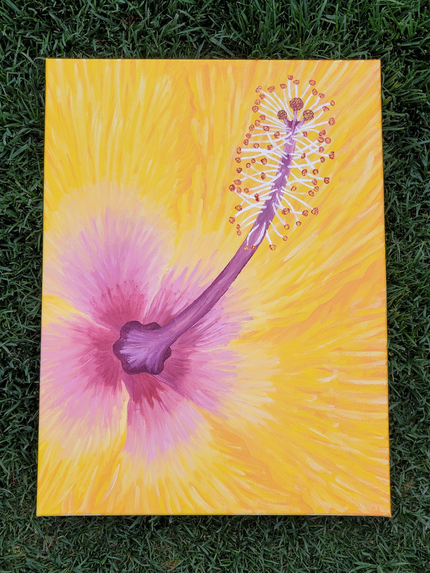 Happiness Hibiscus Painting