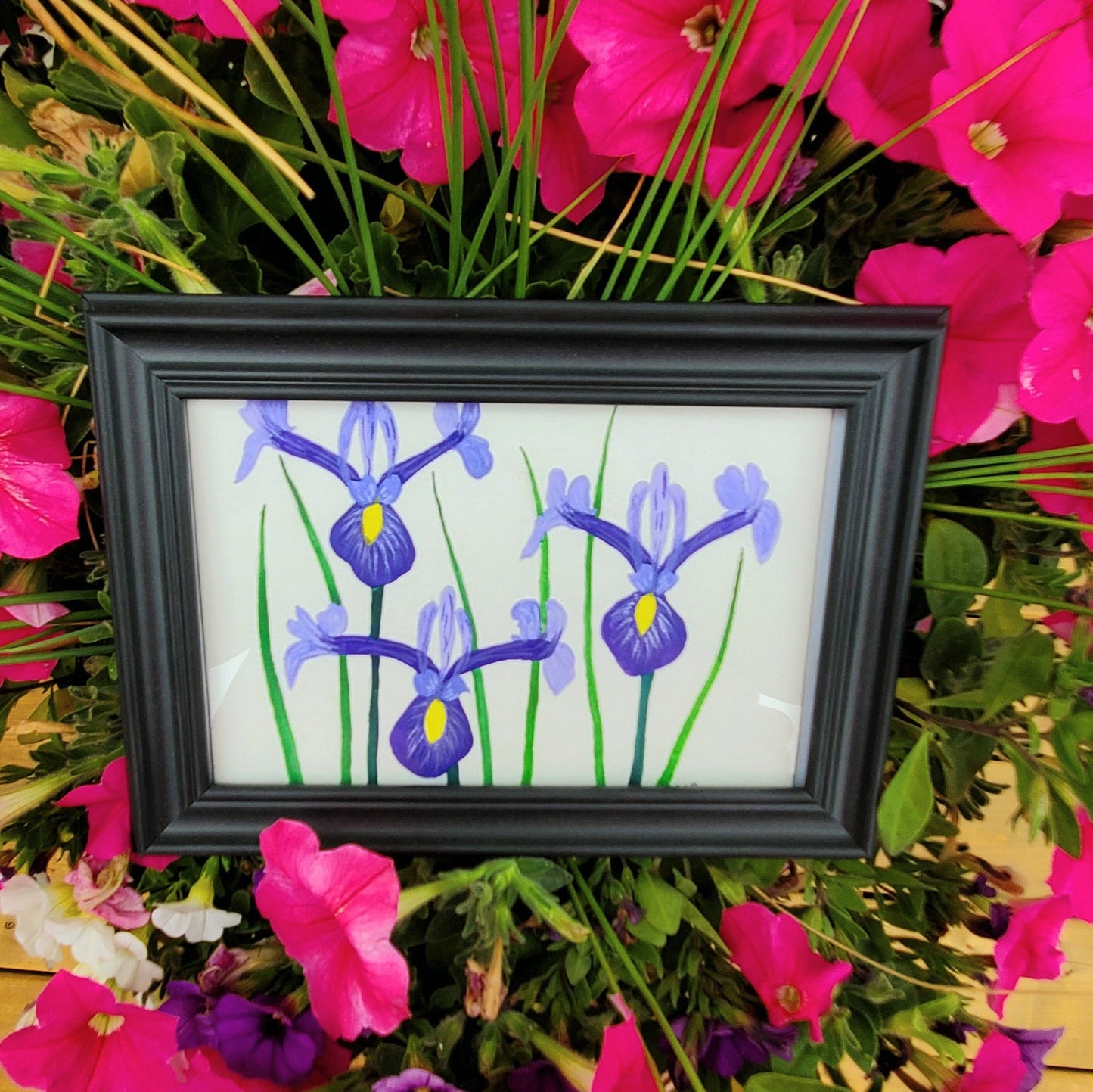 Dutch Iris Flower Framed Painting