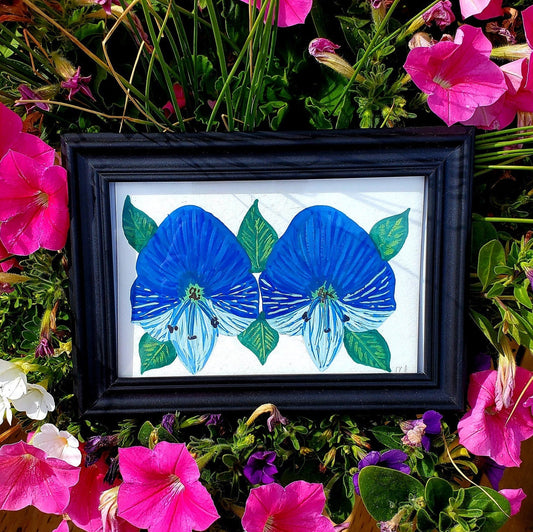 Speedwell Flower Framed Painting