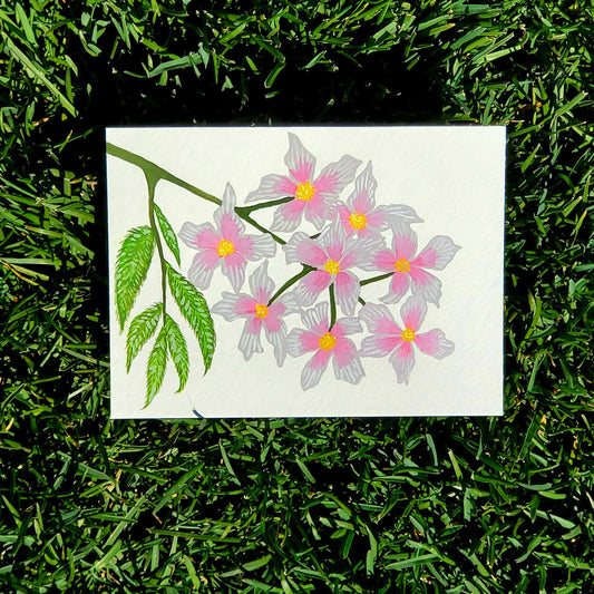 Xanthoceras Sorbifolium Flower Framed Painting
