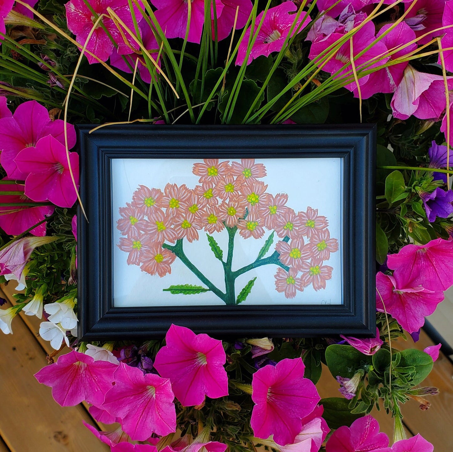 Yarrow Flower Framed Painting