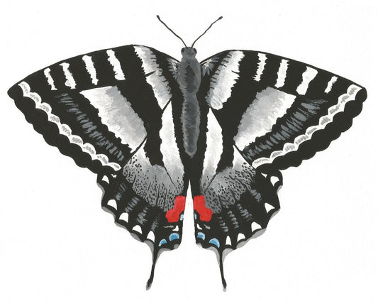 Zebra Swallowtail Butterfly Painting