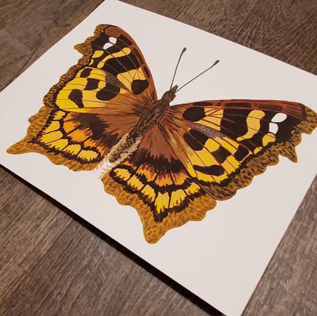 Tortoiseshell Butterfly Painting