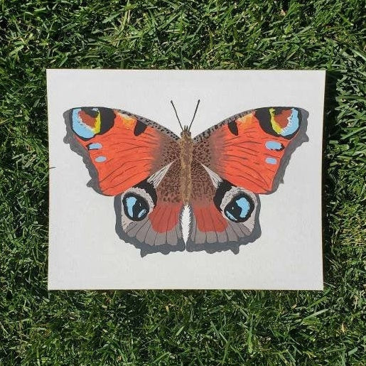 Peacock Butterfly Painting