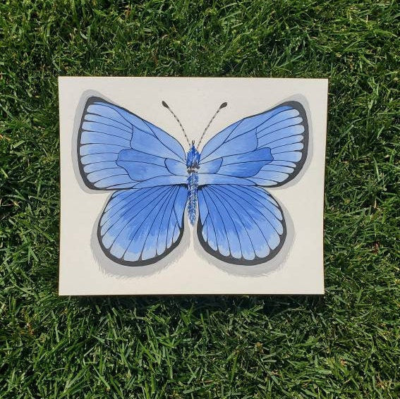 Cinderella Blue Butterfly Painting