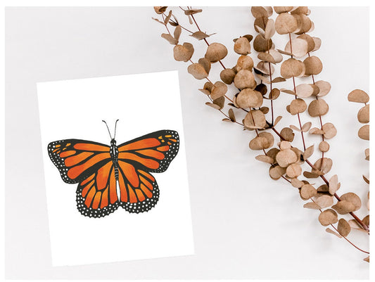 13 Butterfly Greeting Card Set