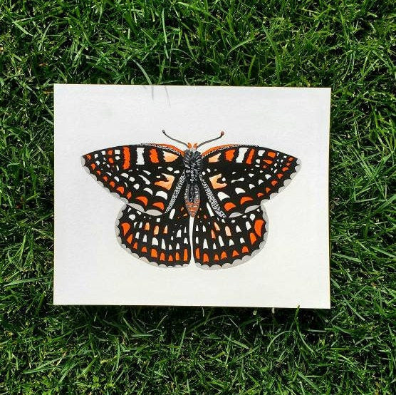 Quino Checkerspot Butterfly Painting