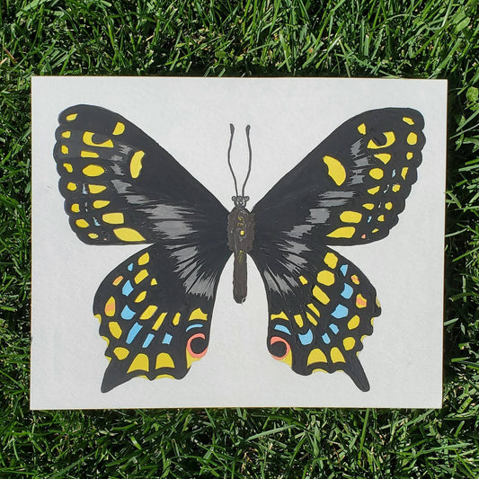 Short Tailed Swallowtail Butterfly Painting