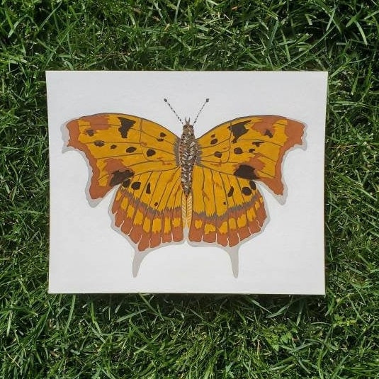 Question Mark Butterfly Painting