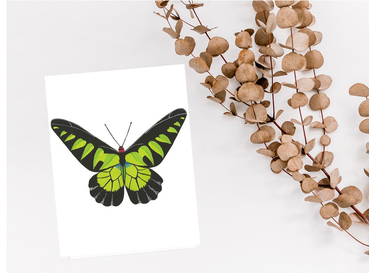 13 Butterfly Greeting Card Set