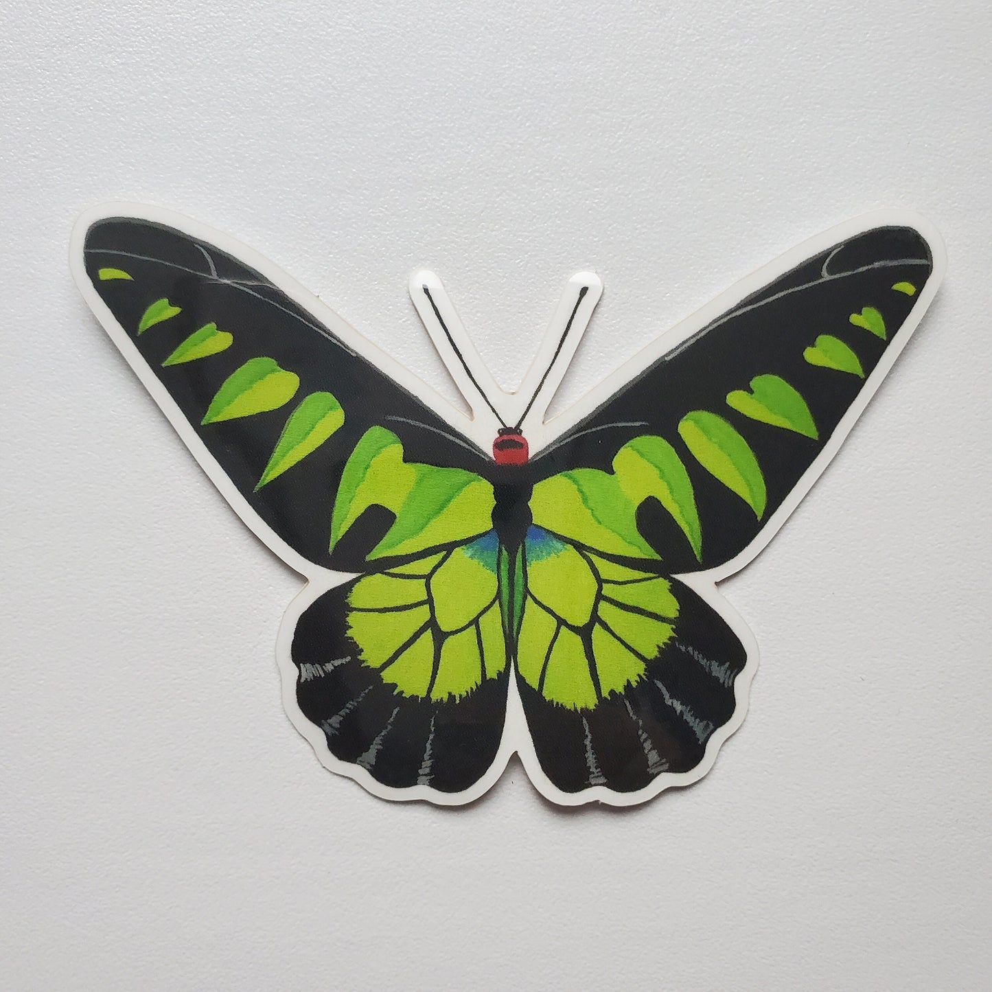 Rajah Brooke's Birdwing Butterfly Sticker