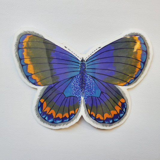 Karner Blue Butterfly Sticker