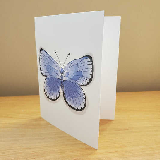 Cinderella Blue Butterfly Greeting Card