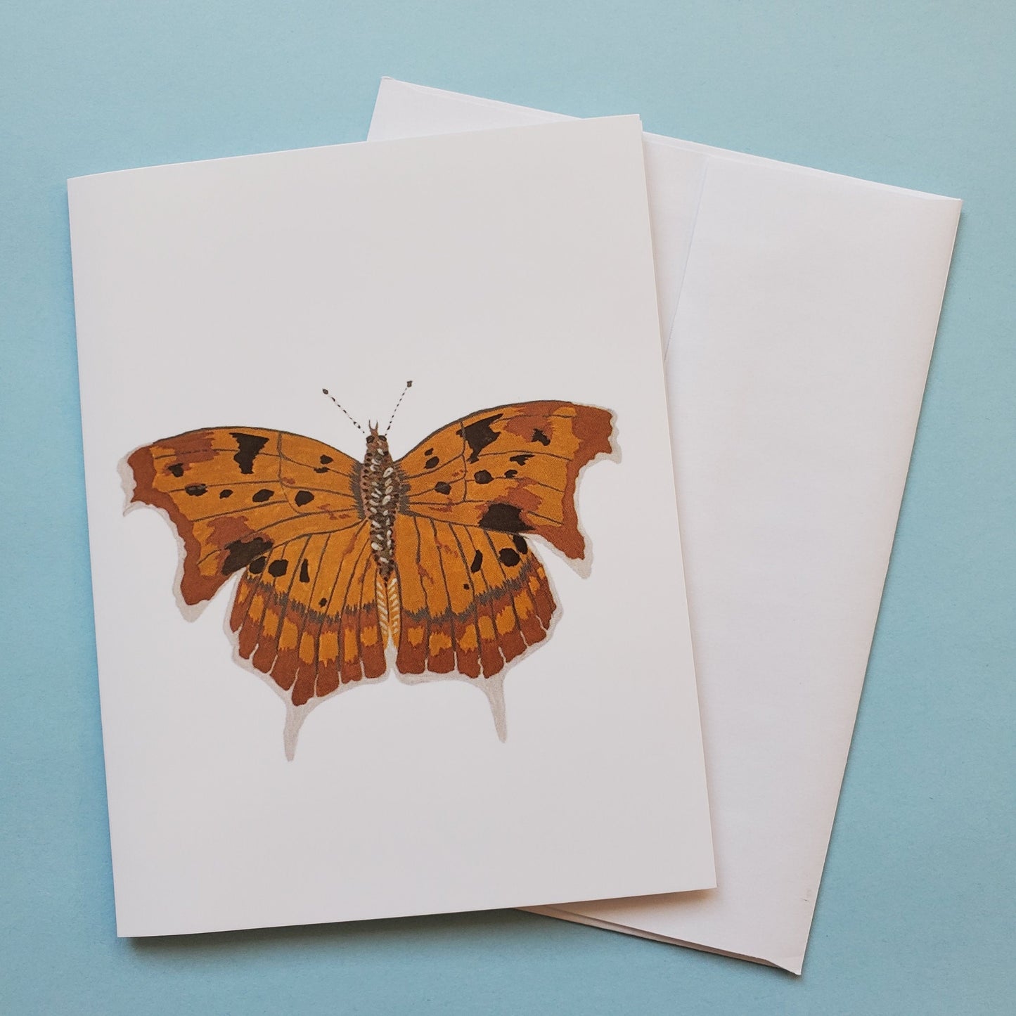 Question Mark Butterfly Greeting Card