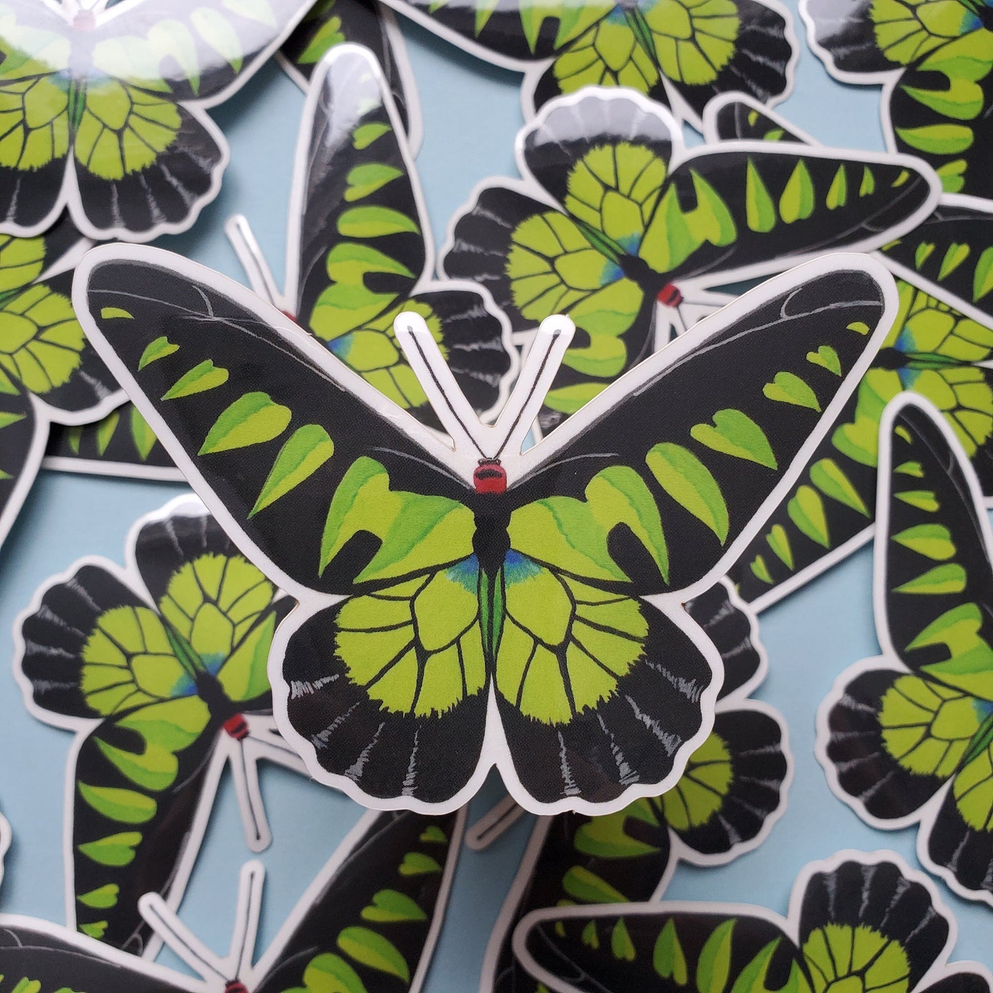 Rajah Brooke's Birdwing Butterfly Sticker