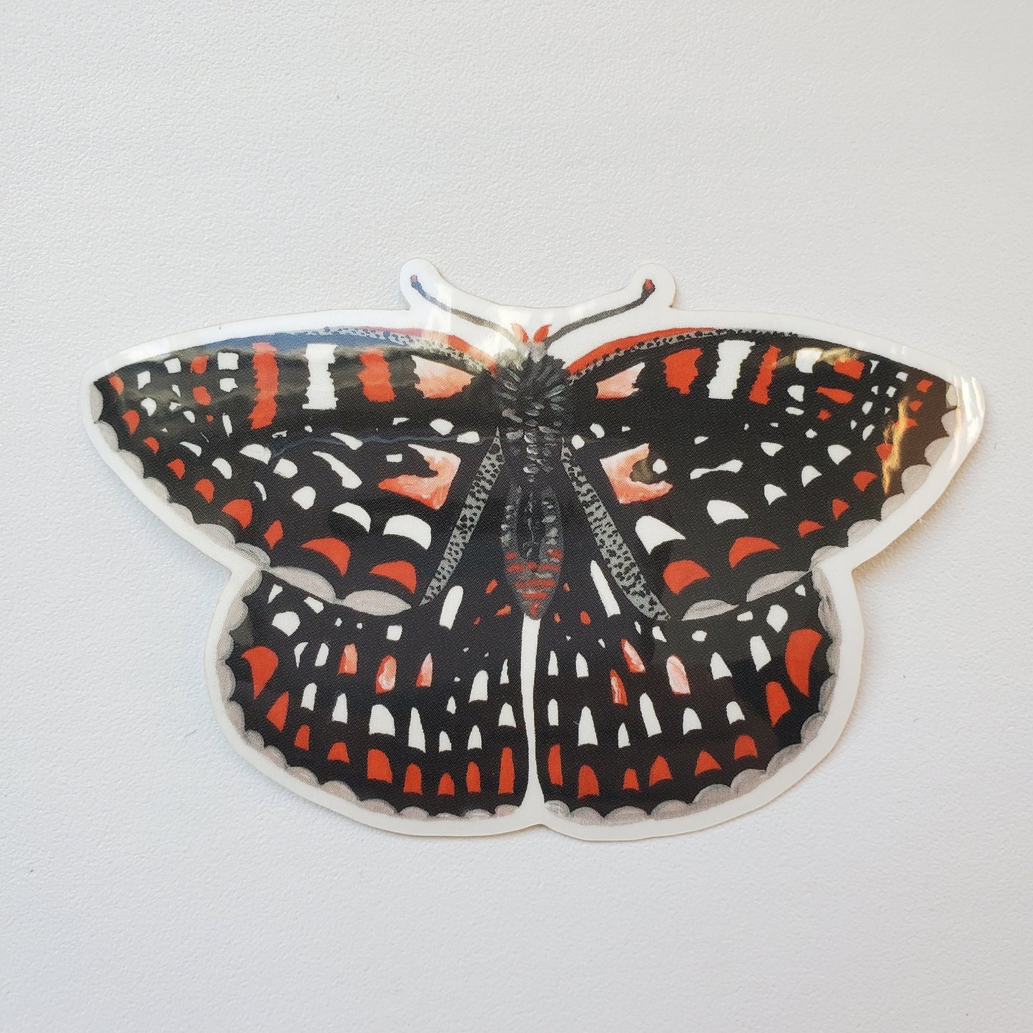 Quino Checkerspot Butterfly Sticker