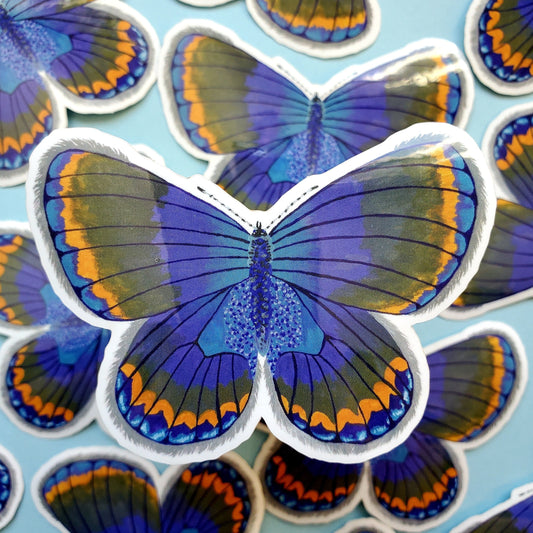 Karner Blue Butterfly Sticker