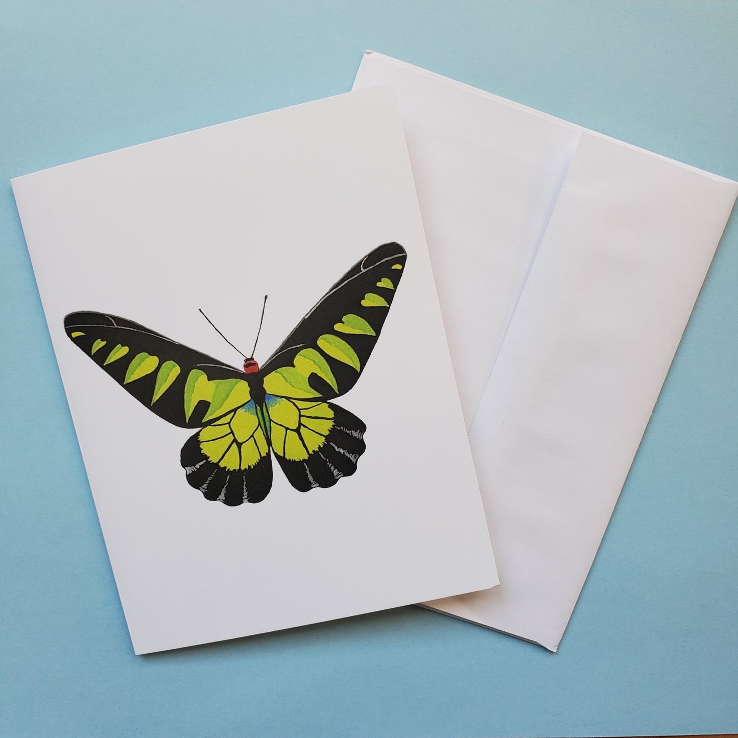 Rajah Brooke's Birdwing Butterfly Greeting Card